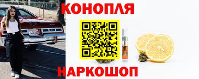 крисы Беслан
