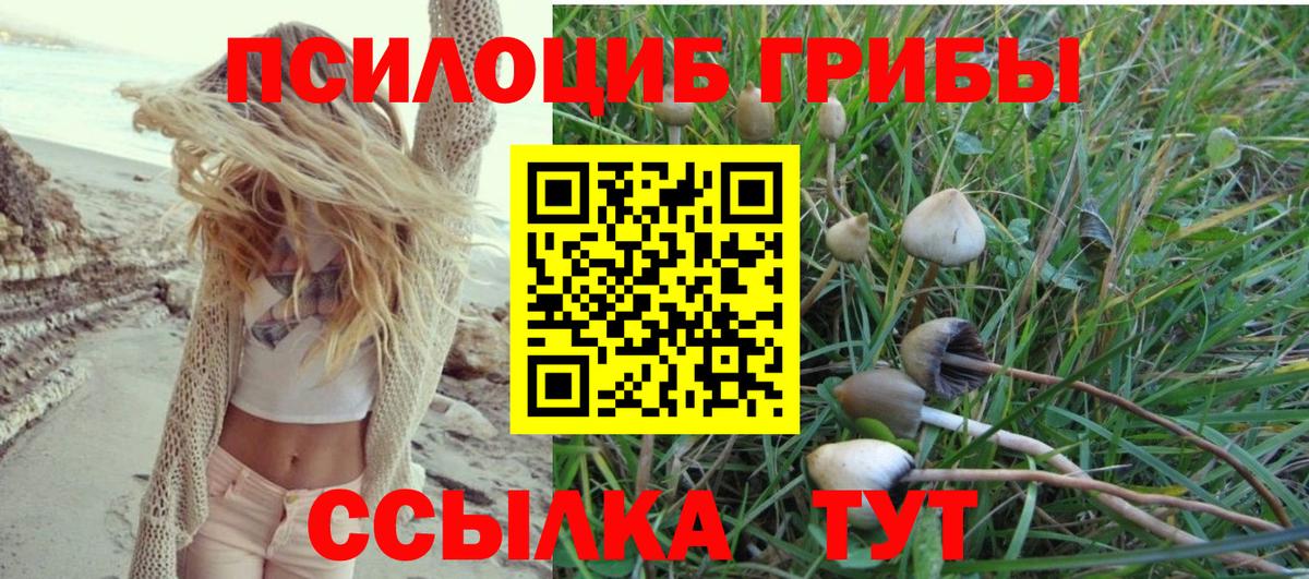 Псилоцибиновые грибы Psilocybine cubensis Зерноград