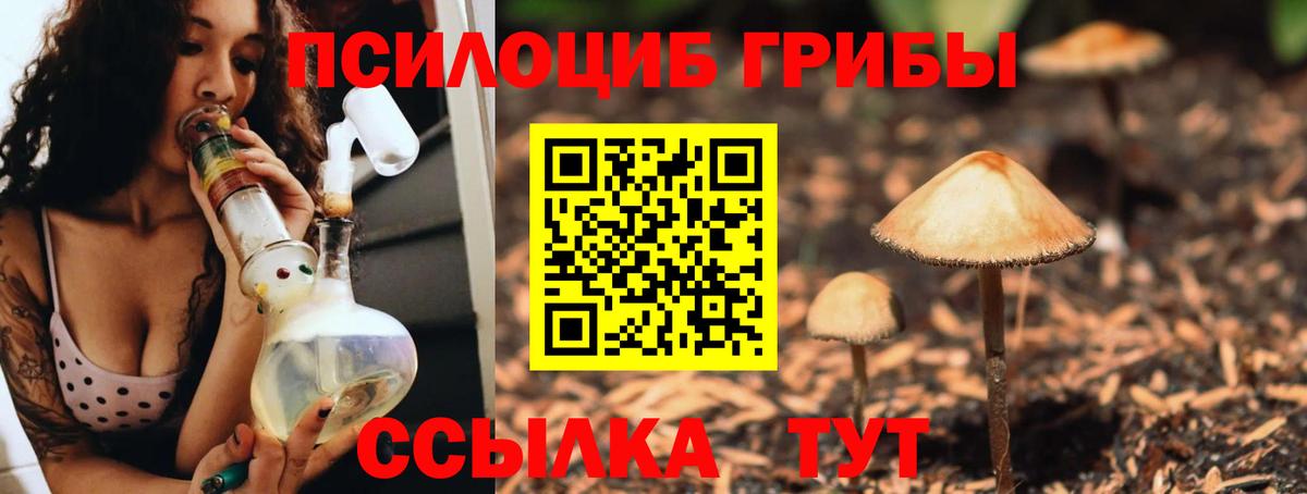 Галлюциногенные грибы мухоморы  Псилоцибиновые грибы мицелий  Вход с VPN  Зерноград 